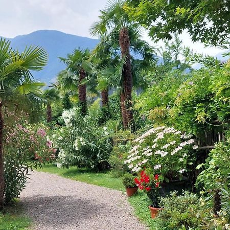 Nora S Home 5 - Panoramic Terrace & Bio Garden Merano Exteriér fotografie