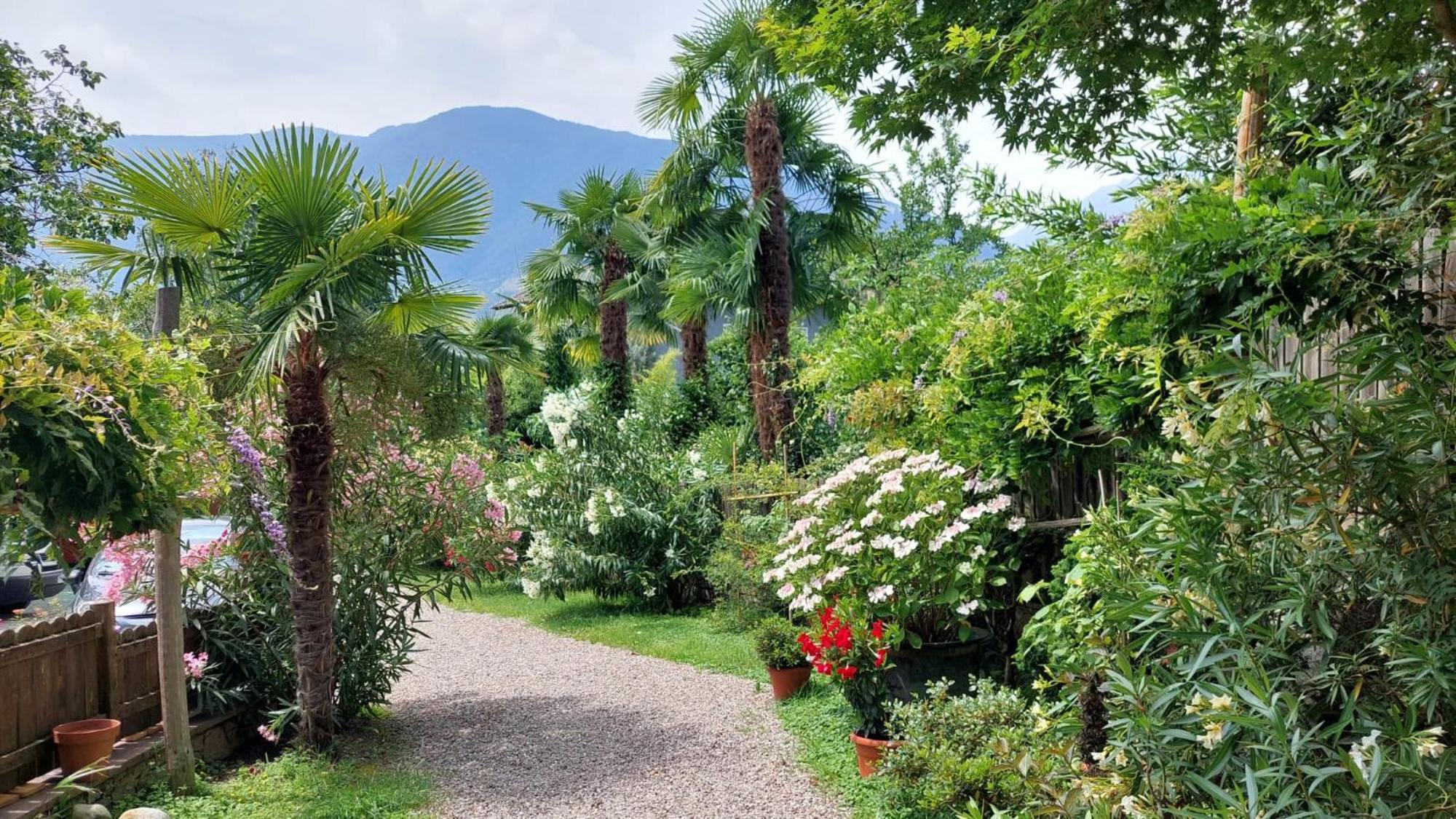 Nora S Home 5 - Panoramic Terrace & Bio Garden Merano Exteriér fotografie
